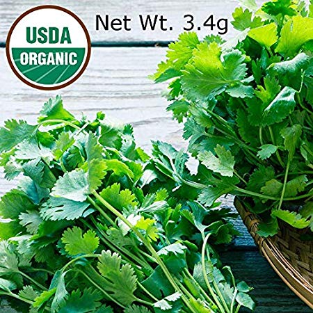 Gaea's Blessing Seeds - Cilantro Seeds 300  Organic Seeds Non-GMO High Germination Rate Leisure Coriander Heirloom Net Wt. 3.4 g