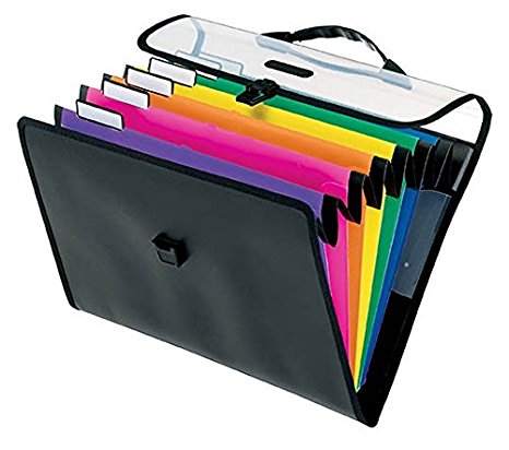 Pendaflex Desk Free Hanging Organizer with Case, Letter Size, Black with Bright Colors (52891)