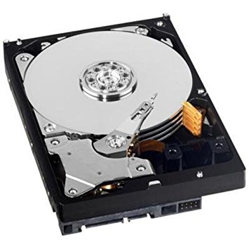 WD RE4 1 TB Enterprise Hard Drive: 3.5 Inch, 7200 RPM, SATA II, 64 MB Cache (WD1003FBYX) (Old Model)