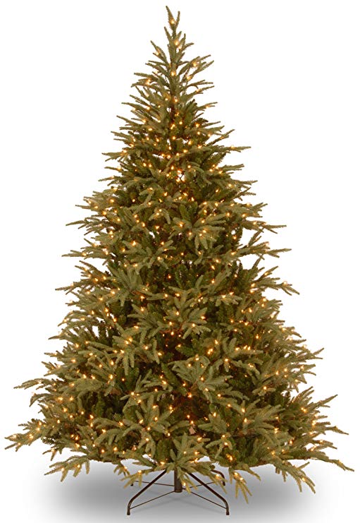 National Tree 6 Foot "Feel-Real" Frasier Grande Tree with 800 Dual LED Lights, Hinged (PEFG4-330LD-60)