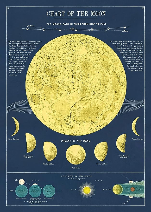 Cavallini & Co. Decorative Wrap Poster, Moon Chart, 20 x 28 inch Italian Archival Paper (WRAP/MOONCHT)…