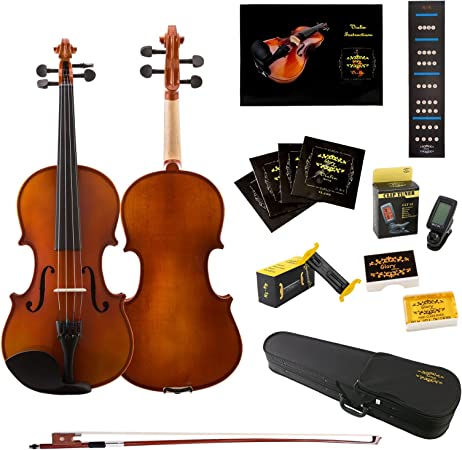 Glory Violin with Case, Shoulder Rest, Bow, Rosin and Extra Strings (4/4)