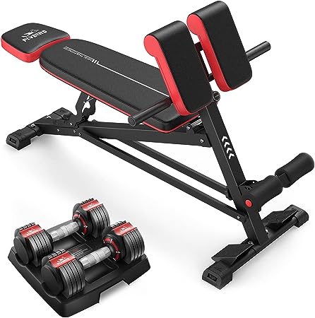 FLYBIRD Adjustable Dumbbells, 15LB Set of Two with Multiweight Options & FLYBIRD Adjustable Weight Bench, Roman Bench for Full Body Workout, Multi- Function Roman Chair with Handle