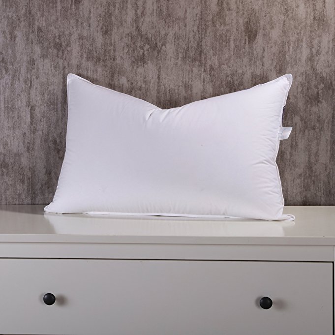 Luxurious 100% White Goose Down Bed Pillow,firm,350 Thread Count Cotton (Standard(20x26 in))