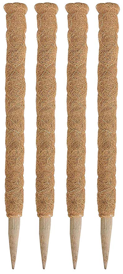BIO Blooms Coco Pole -Moss and Coir Stick for Indoor, House and Plant Creepers Support (Brown, 5 ft) -4 Pieces Bio_456E
