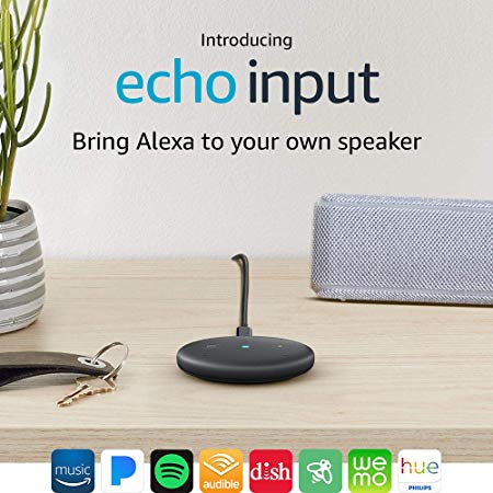 Echo Input – Bring Alexa to your own speaker- Black