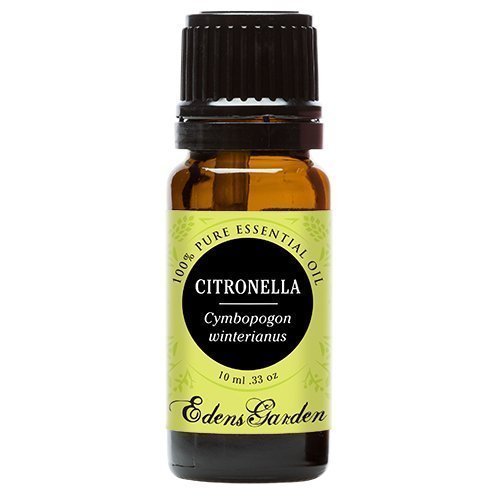 Edens Garden Citronella 10 ml 100% Pure Undiluted Therapeutic Grade Essential Oil GC/MS Tested