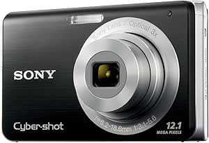 Sony Cybershot DSC-W190 12.1MP Digital Camera with 3x Super Steady Shot Stabilized Zoom and 2.7 inch LCD (Black)