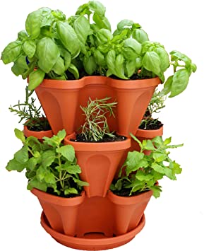 3 Tiered Stackable Indoor Outdoor Vertical Herb Planter - Learn How to Grow Organic Herbs Easy with These Terra Cotta Plastic Containers - Great Garden Planting Pots - Planters Also Used for Strawberries Peppers Flowers Tomatoes Succulents Green Beans Hydroponics - Free Growing Gardening Plant Tips