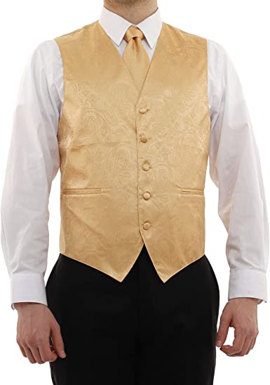 Vesuvio Napoli Men's Paisley Design Dress Vest & NeckTie GOLD Color Neck Tie Set for Suit Tux