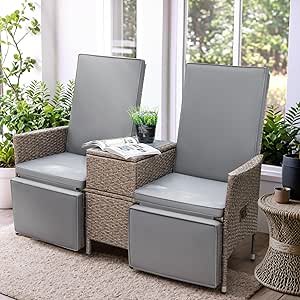 Greesum Patio Recliner All-Weather Wicker Outdoor Loveseat Lounge Chairs with Built-in Storage Table for Balcony, Porch, Lawn, Gray