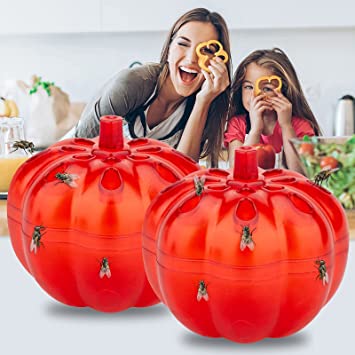 Allinall Fruit Fly Trap,Effective Gnats Trap Indoor Fruit Fly Killer,Easy to Use & Safe Non-Toxic Lure Fly Catcher and Gnat Killer for Indoor/Home/Kitchen/Dining Areas Pumpkin Shape 2 Pack transparent