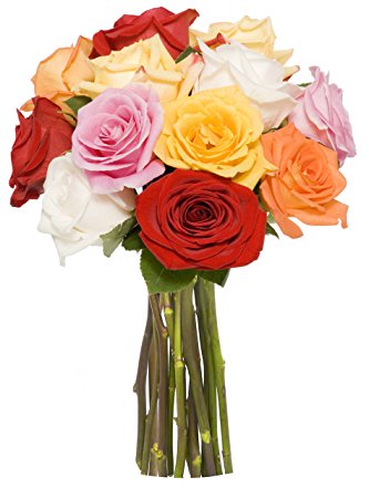 Benchmark Bouquets Dozen Rainbow Roses, No Vase