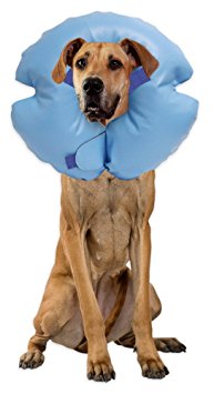Remedy   Recovery Stay Rite Xtra Strong Inflatable Recovery Dog Collar, Blue