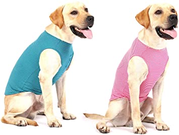 WEONE Dog Summer Shirt Striped Cotton Vest,Pet Breathable Soft Basic Clothes for Small Medium Larg Boy Girl Dogs