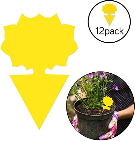 COSYWORLD 12 Pack Yellow Sticky Bugs Traps for Indoor/Outdoor Use, Gnat Trap for Flying Plant Insect Such as Fungus Gnats, Whiteflies, Aphids, Fruit Fly, Leafminers- Disposable Glue Trappers