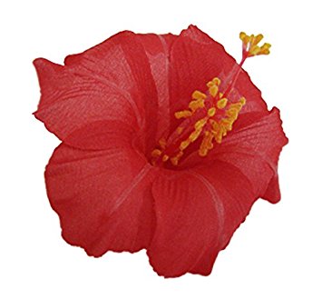 Hawaiian Hibiscus Flower Hair Clip (Red)