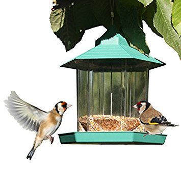 Gazebo Bird Feeder By PetsN'all - Transparent, Hanging Bird Feeder in Hexagon Shape, Handles Up To 2.25 Lbs