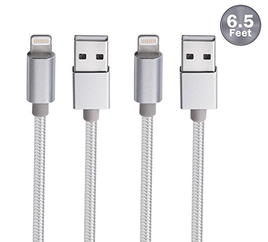 Digital Ant Twin-Pack 6.6Ft/9.8Ft Nylon Braided USB to Lightning Charging Cable iPhone Cable iPhone Cord for iPhone 7/7 Plus iPhone6S/6S Plus iPhone5S/5 iPad iPad Mini iPod Nano 7 (6.5ft-Silver)