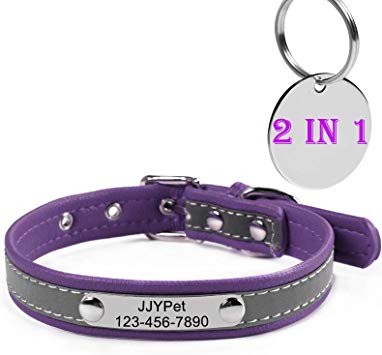 M JJYPET Personalized Dog/Cat Collars Engraved Pet Collar with Name Plated,Reflective,Size Available:Extra-Small Small Medium Large Extra-Large