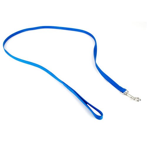 Coastal Pet Nylon Dog Leash Training Lead (Blue, 6 ft. L x 3/8 Inch W)