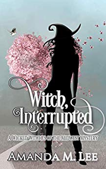 Witch, Interrupted (Wicked Witches of the Midwest Book 13)