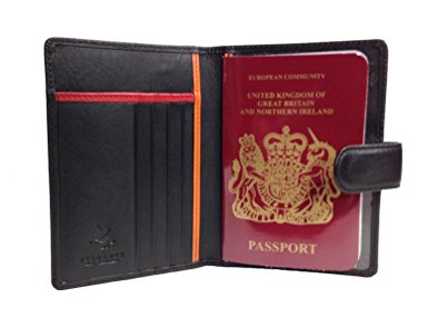 Visconti BD15 Multi Colored Passport Travel Holder/Wallet