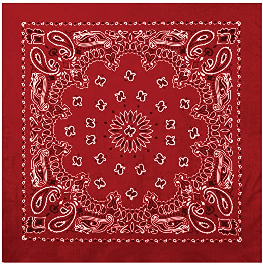 Rothco Trainmen Paisley Bandana - 22" X 22"