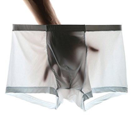 Welltogther Mens Ice Silk Boxer Briefs 3-Pack Soft Underwear Pack