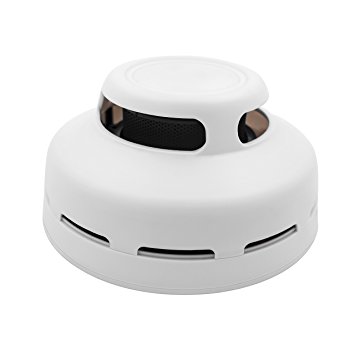Labvon Smoke Detector, Smoke Alarm Clock Carbon Monoxide Detector with Voice and Flash Light Warning