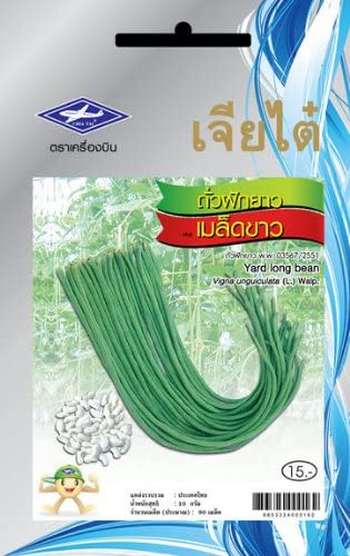 Yard Long Bean (Thai Long Bean) (90 Seeds) White Seeds - 1 Package From Chai Tai, Thailand