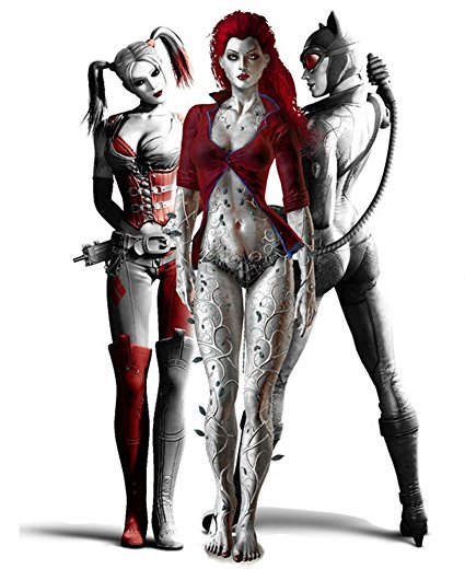 Catwoman Harley Quinn Poison Ivy Fabric Cloth Rolled Wall Poster Print -- Size: (16" x 13")