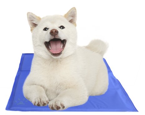 Pressure Activated Cooling Pet Bed - SelectPRESS Cooling Gel - Self Cooling Pet Pad - Chilly Dog Mat - Cooling Therapy - Helps Cool Overheated Exhausted Dogs and Pets - Cooler than The Green Pet Shop