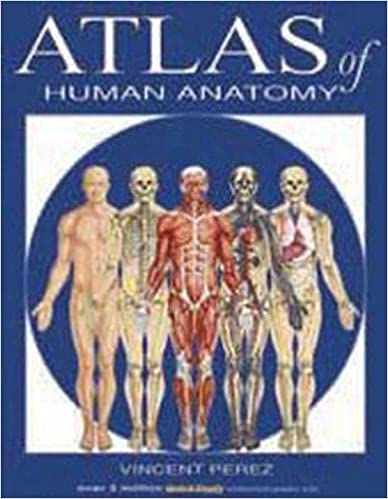 Atlas Of Human Anatomy (Quickstudy Books)