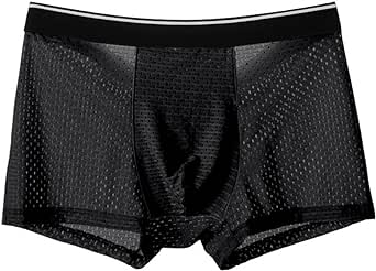 Men's Underwear Briefs Performance Stretch Boxer Briefs for Men Sexy Eyelet Sheer Shorts Solid Soft Mid Rise Briefs