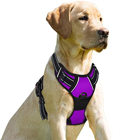 BARKBAY No Pull Dog Harness Front Clip Heavy Duty Reflective Easy Control Handle for Small Medium Large Dogs(Purple,L)