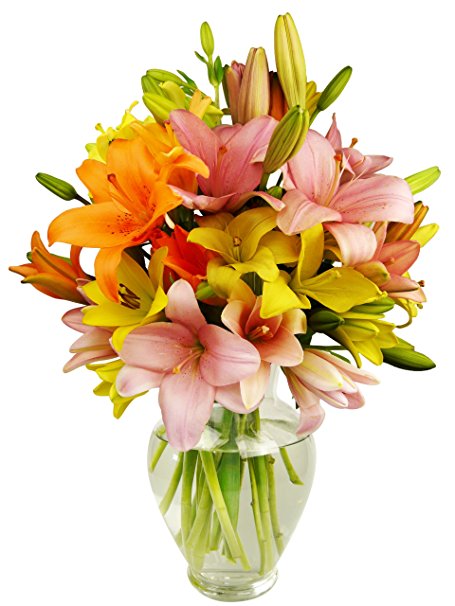 Benchmark Bouquets 12 Stem Assorted Asiatic Lilies, With Vase