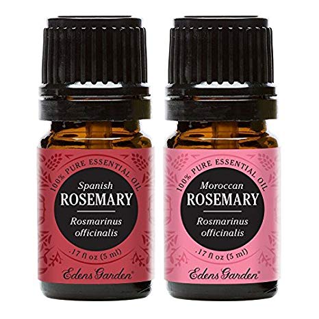 Spanish Rosemary & Moroccan Rosemary Essential Oil (100% Pure, Undiluted Therapeutic/Best Grade) Premium Aromatherapy Oils by Edens Garden- 5 ml