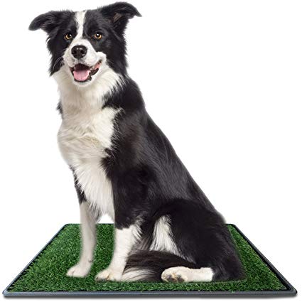 Ideas In Life Dog Potty Grass Pee Pad – Artificial Pet Grass Patch for Dogs to Pee On Great for Puppy Potty Training as an Indoor/Outdoor Litter Box