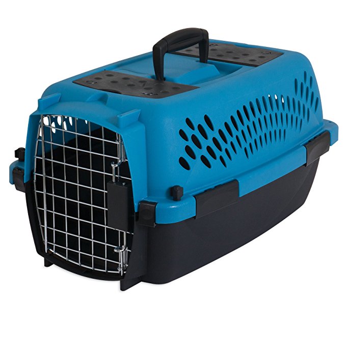 Aspen Pet Pet Porter Plastic Kennel