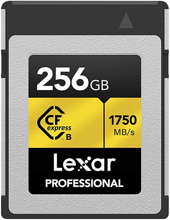 Lexar Professional CFexpress 256GB Type-B Card (LCFX10-256CRBNA)