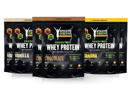 Athletic Greens Premium Grass-Fed Whey Protein, Travel Packs, Assorted flavors, 6 ct