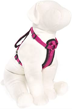 KONG Comfort Padded Chest Plate Dog Harness offered by Barker Brands Inc.