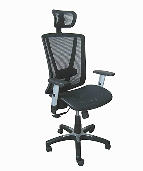 Ergonomic Executive Office Chair - Black Breathable Mesh with Adjustable Lumbar Support - Gas Height and Arm Adjustment - Swivel and Tilt Mechanism - Supports up to 225 Pounds Body Weight (Headrest)