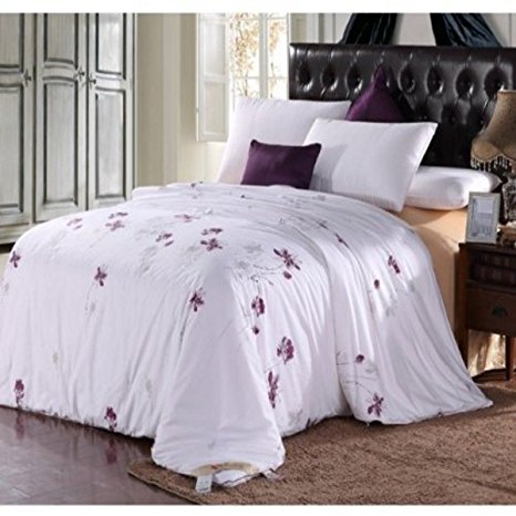 Soft Silker Silk Comforter 100% All Natural National Standard Long Mulberry Silk Duvet (All Season Queen, Red)