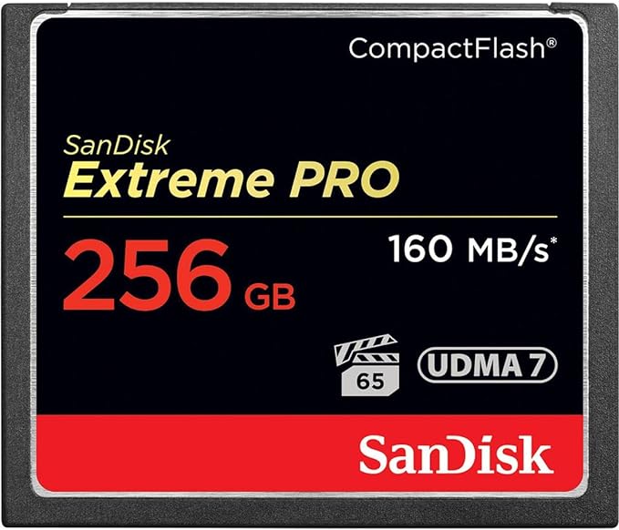 SanDisk Extreme Pro 256 GB CompactFlash