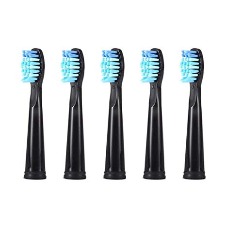 Toothbrush Replacement Heads Compatible with Fairywill Dnsly Gloridea Sboly WOVIDA Kealive 420/507 / 508/917 / 959 & YUNCHI Y1 Electric Toothbrushes 5 Pack - Black