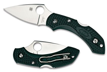 Spyderco C28PGRE2 Dragonfly 2 PlainEdge Knife (British Racing Green, 141mm)