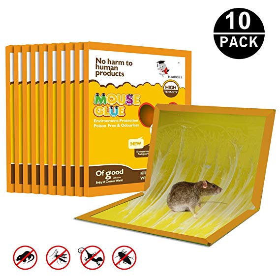 JCHope Mouse Glue Boards, Mouse Glue Traps, Mouse trap, Mouse Size Glue Traps Sticky Boards, Professional Strength Glue (5 Pack) (Yellow-11)