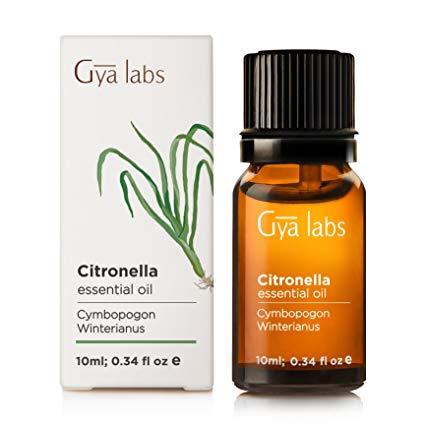 Citronella - 100% Pure Therapeutic Grade Essential Oil - 10ml - Gya Labs